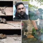 nyc-residents-demand-new-‘rat-czar’-when-mamdani-takes-office:-‘rats-owned-the-sidewalks’