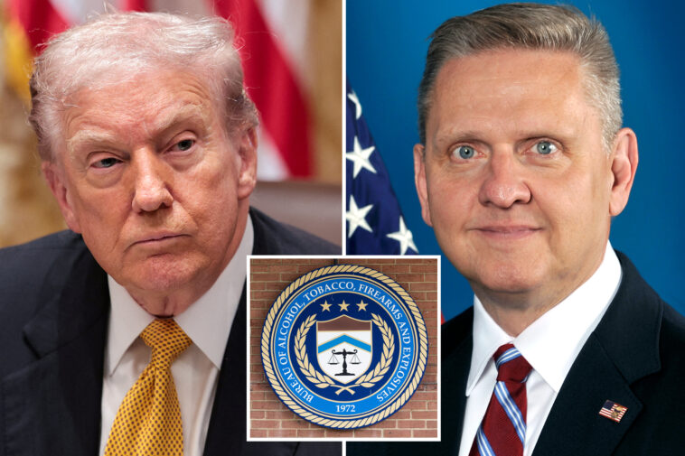 gun-rights-groups-hail-trump’s-pick-to-lead-atf:-‘first-ever-truly-pro-second-amendment-nominee’