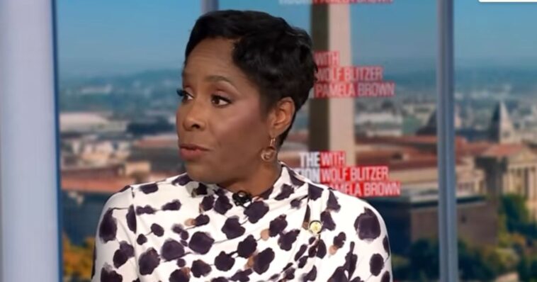 epstein-tied-democrat-delegate-digs-hole-even-deeper-for-herself