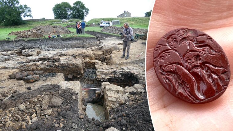 ancient-roman-fort-yields-2,000-year-old-fruit-that-survived-the-centuries,-plus-other-treasures
