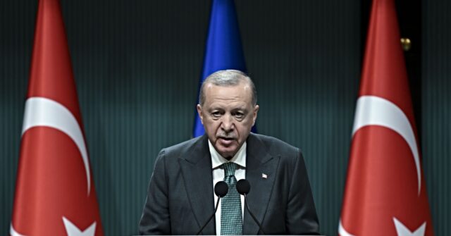 turkey’s-erdogan-seeks-dominant-role-in-ending-ukraine-war,-elbowing-out-trump-and-the-eu.