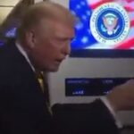 lol!-karoline-leavitt-explains-trump’s-comment-calling-reporter-“piggy”-on-air-force-one-–-“he-calls-out-fake-news-when-he-sees-it”-(video)