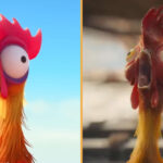 live-action-remake-of-animated-film-98%-animated