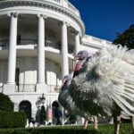 fox-news-poll:-holiday-togetherness-tops-political-differences