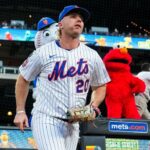 the-polar-bear-in-boston?-a-return-to-queens?-potential-free-agent-fits-for-pete-alonso