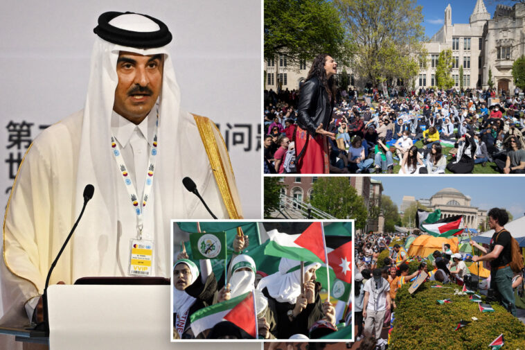 qatar-pumping-tens-of-billions-into-universities-to-help-muslim-brotherhood-weaken-us,-‘destroy-democracy’