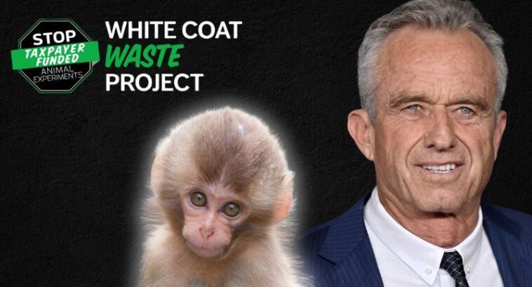huge-white-coat-waste-win:-trump-administration-and-rfk-jr.-deliver,-cdc-completely-shuts-down-taxpayer-funded-monkey-labs