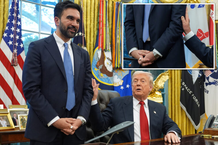 zohran-mamdani’s-stance-during-first-trump-meeting-shows-he-wants-to-be-‘good-little-boy:’-body-language-expert