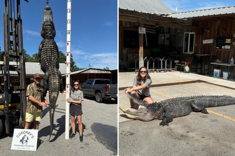 south-carolina-mother-on-maternity-leave-nabs-12-foot-alligator-her-family-plans-to-turn-into-rug