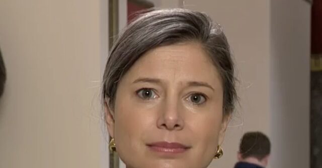 dem-rep.-goodlander:-trump-has-become-‘unglued-by-a-simple-statement-of-federal-law’