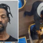 judge-who-let-alleged-chicago-train-attacker-out-to-set-fire-to-woman-was-told-he-was-‘real-and-present-threat’