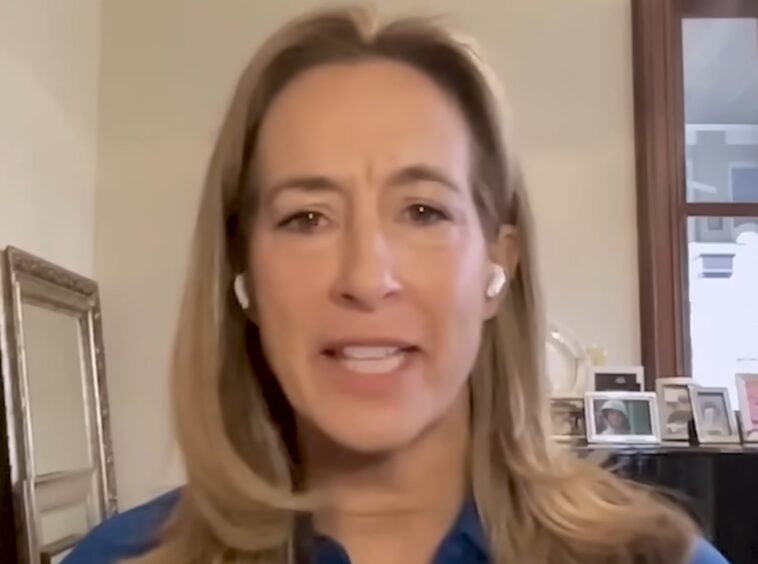 new-jersey-governor-elect-mikie-sherill-threatens-to-withhold-federal-taxes-to-resist-trump-(video)