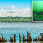 shipwreck-that-could-date-back-to-the-early-1800s-found-completely-intact