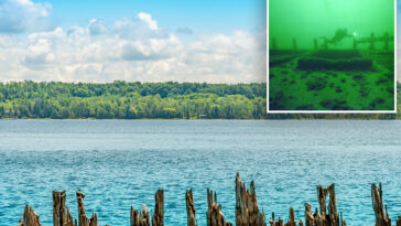 shipwreck-that-could-date-back-to-the-early-1800s-found-completely-intact