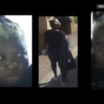 insane-video:-70-year-old-woman-violently-attacked,-beaten-on-broward-county-transit-bus-in-florida-–-suspect-at-large