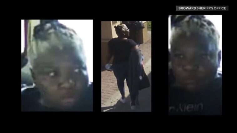 insane-video:-70-year-old-woman-violently-attacked,-beaten-on-broward-county-transit-bus-in-florida-–-suspect-at-large