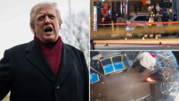 president-says-chicagoans-are-‘chanting-bring-in-trump’-after-violent-downtown-riot-leaves-8-shot,-1-dead