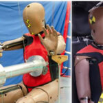 new-crash-dummy-reflects-biological-differences-between-men-and-women