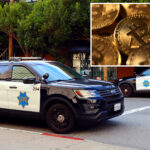 san-francisco-thief-posing-as-delivery-person-steals-$11m-in-cryptocurrency-after-tying-up-homeowner