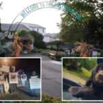 long-island’s-largest-zoo,-which-faced-animal-abuse-allegations,-set-to-close-after-budget-nix:-‘very-sad’