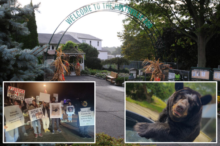 long-island’s-largest-zoo,-which-faced-animal-abuse-allegations,-set-to-close-after-budget-nix:-‘very-sad’