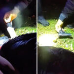 heart-pounding-video-shows-wild-nypd-foot-chase-of-armed-suspect-in-the-bronx:-‘that’s-two’