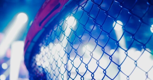 mma-fighter-dies-at-31-after-sustaining-injury-during-fight