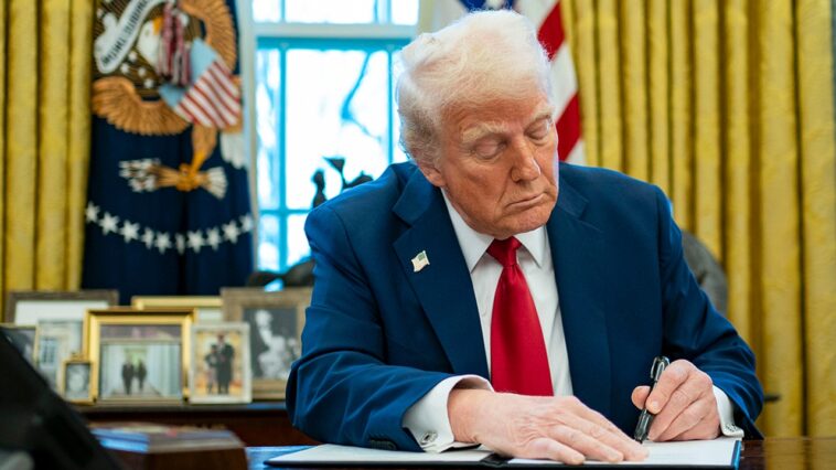 trump-signals-plan-to-designate-muslim-brotherhood-a-terrorist-organization