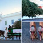 melania-trump-accepts-wh-christmas-tree-from-michigan:-‘it-will-be-beautiful!’
