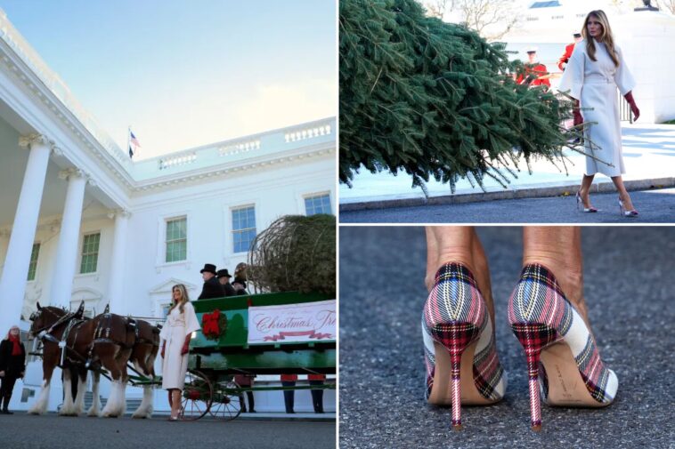 melania-trump-accepts-wh-christmas-tree-from-michigan:-‘it-will-be-beautiful!’