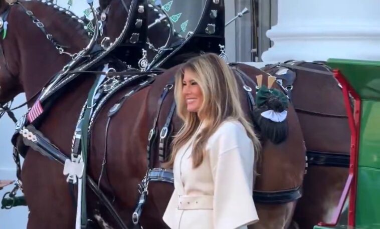 first-lady-melania-trump-dazzles-in-winter-white-as-she-receives-white-house-christmas-tree-(video)