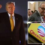 white-house-downplays-reports-trump-will-pitch-extension-of-obamacare-subsidies:-‘mere-speculation’