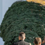 first-lady-melania-trump-welcomes,-inspects-white-house-christmas-tree:-‘it’s-a-beautiful-tree!’