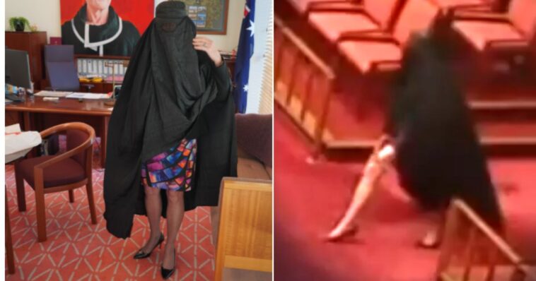 australian-senate-suspended-after-right-wing-leader-wears-burka-in-protest