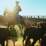 america’s-smallest-cattle-herd-in-70-years-means-rebuilding-will-take-years-and-beef-prices-could-stay-high