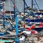 report:-illegal-chinese-fishing-causing-$800-million-in-damages-in-peru