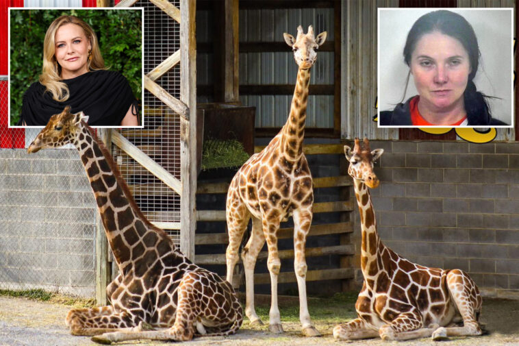 alicia-silverstone-offers-$50k-reward-for-return-of-baby-giraffes-who-mysteriously-vanished-from-troubled-zoo-7-months-ago