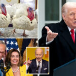 trump-re-pardons-biden-turkeys-in-autopen-jab-—-and-jokes-he-considered-naming-this-year’s-birds-‘chuck-and-nancy’