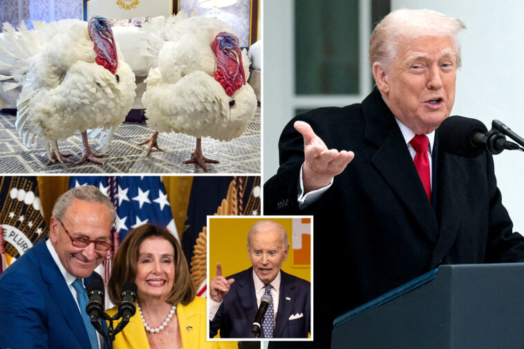 trump-re-pardons-biden-turkeys-in-autopen-jab-—-and-jokes-he-considered-naming-this-year’s-birds-‘chuck-and-nancy’