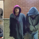 ‘slender-man’-stabber-morgan-geyser’s-decision-to-flee-was-‘not-well-thought-out’-and-‘impulsive’:-defense-attorney