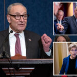 senate-dem-‘fight-club’-challenges-schumer-over-2026-primaries-—-but-critic-warns-of-‘one-big,-giant-mess’