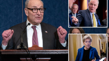 senate-dem-‘fight-club’-challenges-schumer-over-2026-primaries-—-but-critic-warns-of-‘one-big,-giant-mess’