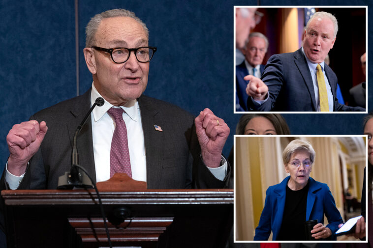 senate-dem-‘fight-club’-challenges-schumer-over-2026-primaries-—-but-critic-warns-of-‘one-big,-giant-mess’