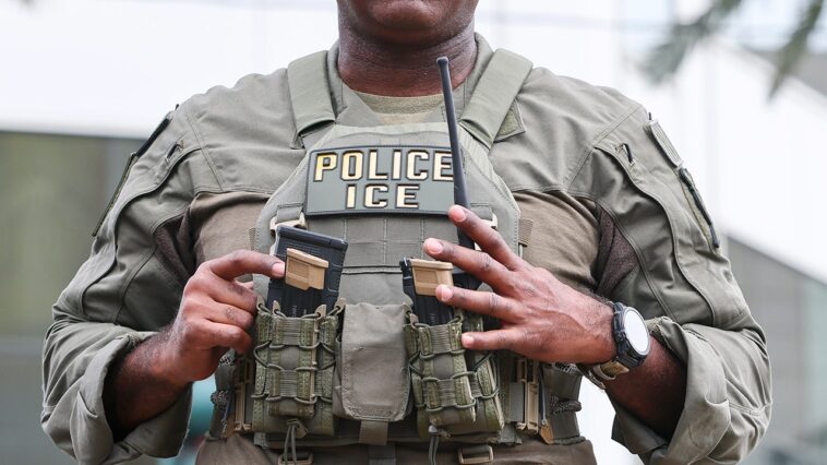 giving-thanks:-republican-lawmakers-express-gratitude-for-ice-workers-in-dhs-video