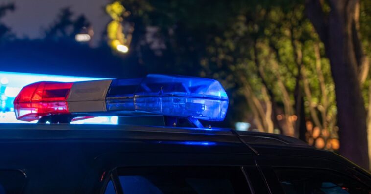 man-charged-with-murdering-his-own-brothers-in-hunting-cabin-rampage