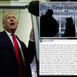 trump-lashes-out-at-ny-times-reporter-in-latest-outburst-at-female-journalist:-‘ugly-both-inside-and-out’