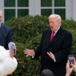 trump-says-he-saved-turkeys-from-being-deported-to-notorious-foreign-prison-in-hilarious-moment