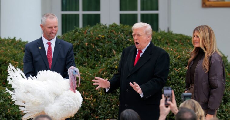 trump-says-he-saved-turkeys-from-being-deported-to-notorious-foreign-prison-in-hilarious-moment