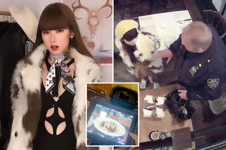 nyc’s-accused-dine-and-dash-diva-ordered-to-undergo-psych-evaluation-by-judge