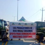 mexico’s-government-claims-farmer-and-trucker-protests-are-political,-blockades-will-continue